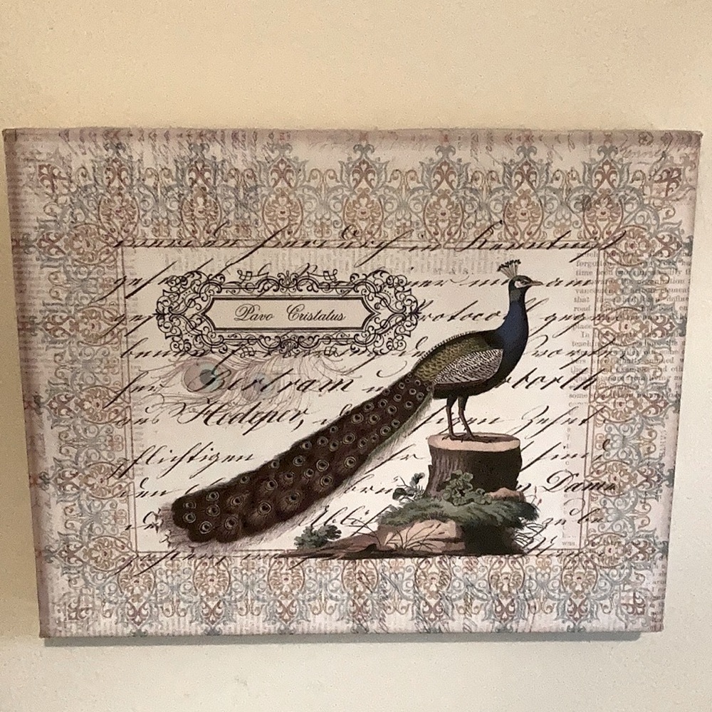 Wall art peacock